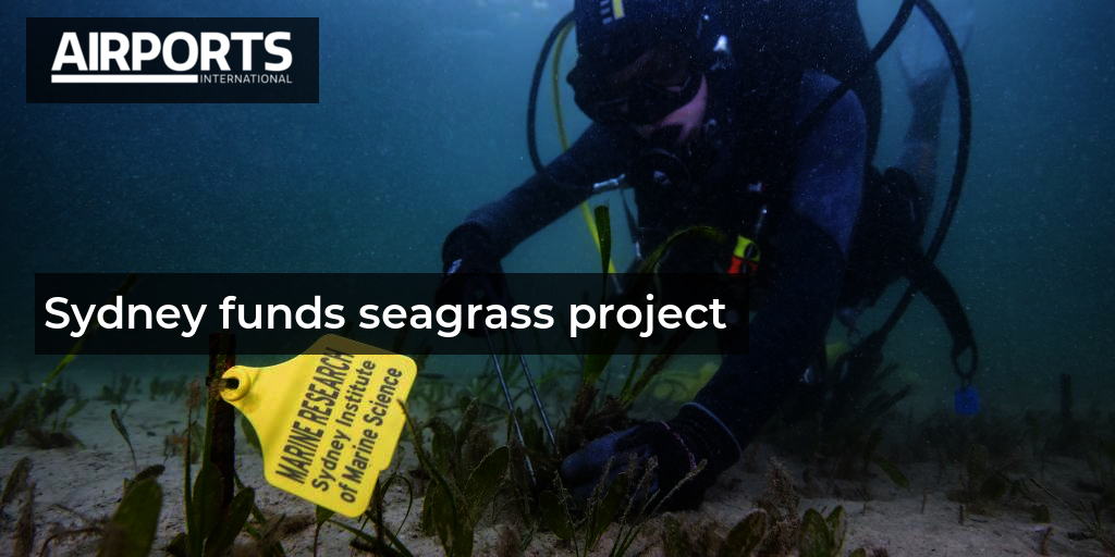 Sydney funds seagrass project