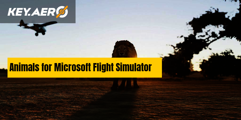 Official] Community Fly-In Friday: Benelux - Community Events - Microsoft  Flight Simulator Forums