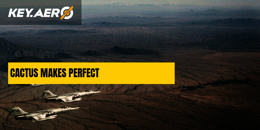 CACTUS MAKES PERFECT