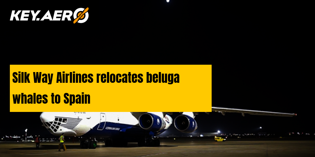 Silk Way Airlines relocates beluga whales to Spain