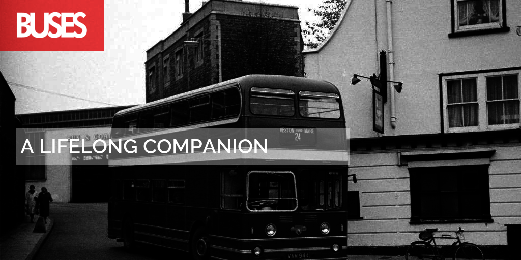 A Lifelong Companion