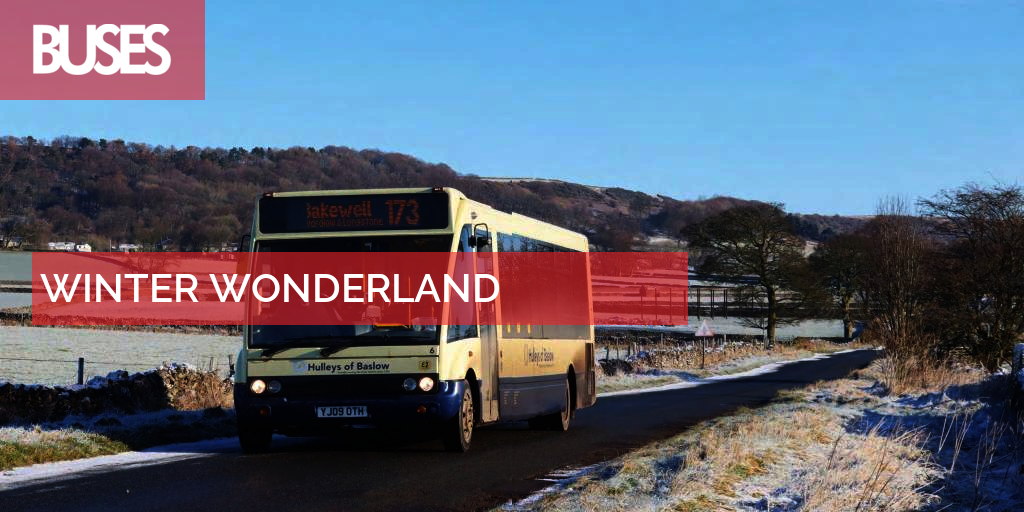 WINTER WONDERLAND